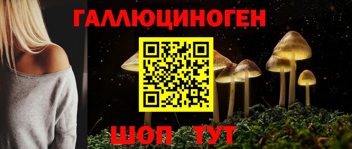 Галлюциногенные грибы Cubensis  Псилоцибиновые грибы прущие грибы  Вход с VPN  Гусев 