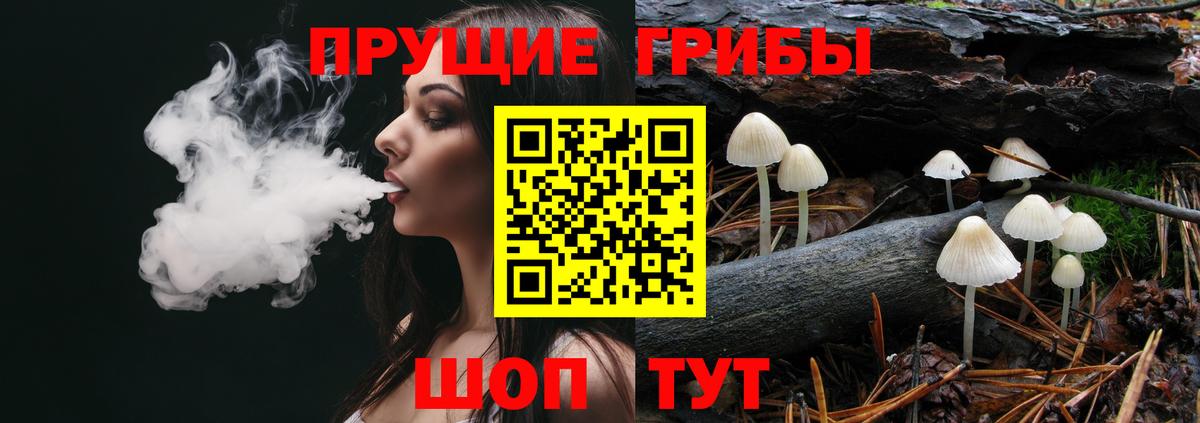 Галлюциногенные грибы GOLDEN TEACHER Гусев